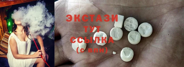 стаф Ельня