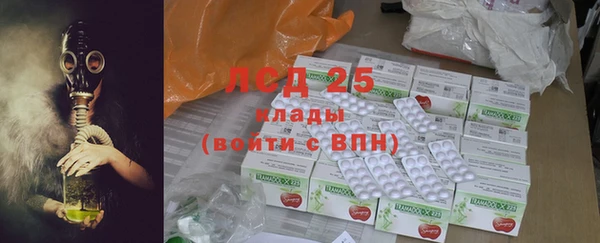 стаф Ельня