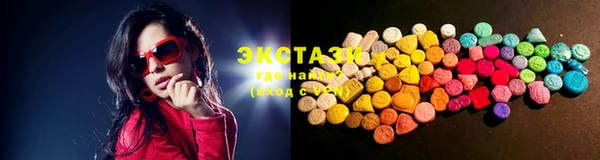стаф Ельня