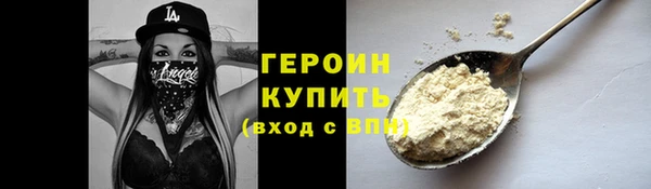 стаф Ельня