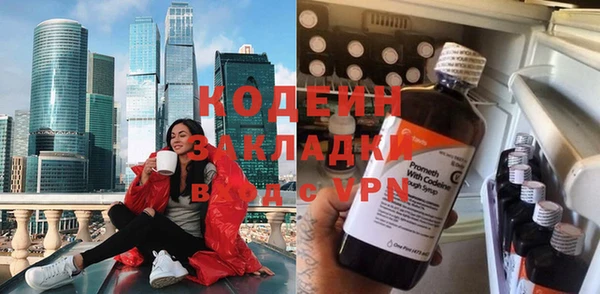 стаф Ельня