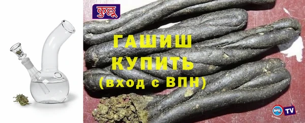 стаф Ельня