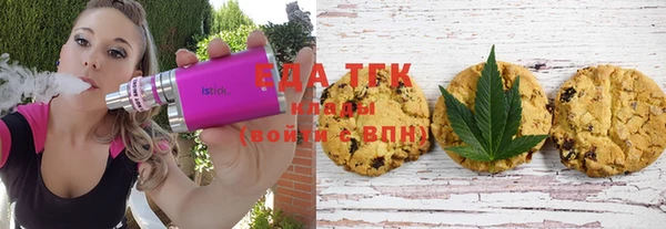 стаф Ельня
