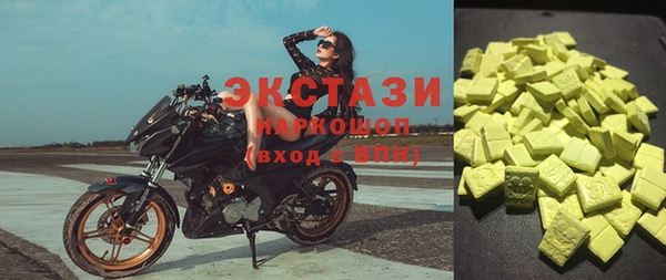 стаф Ельня