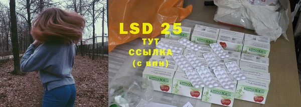 стаф Ельня