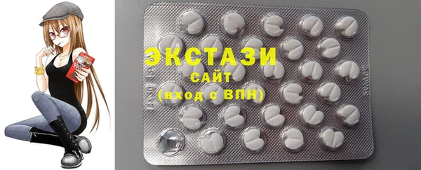 стаф Ельня