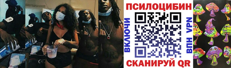Купить  Каменка  Галлюциногенные грибы мухоморы 